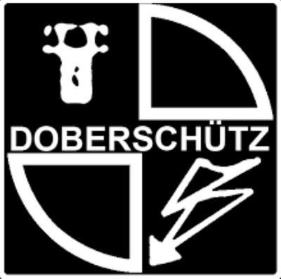 Logo Doberschütz Blitzschutzanlagenbau